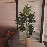 Heuvellodge Robin Alpha 76 Feriehus