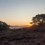 Heuvellodge Robin Alpha 76 Feriehus *