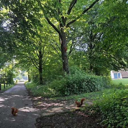 Ferienhaus Heuvellodge Robin - Luxe Vakantiewoning - Fietsenberging - Airco - Opgemaakte Bedden - Parkeerplaats