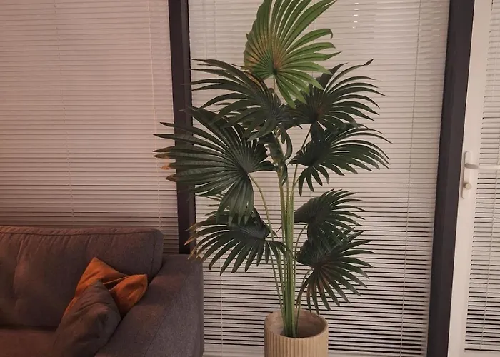 Heuvellodge Robin Alpha 76 Holiday home