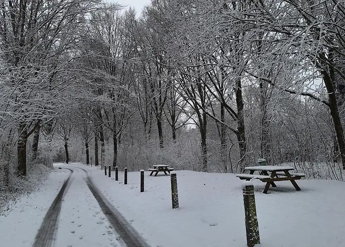 Heuvellodge Robin Alpha 76 Holiday home *