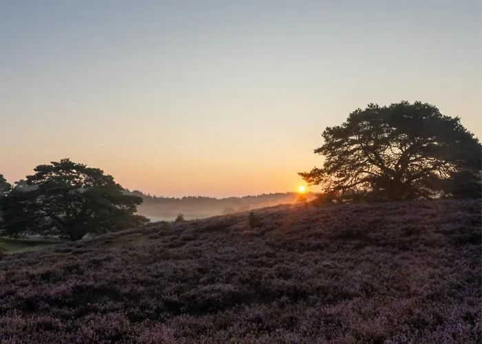 Heuvellodge Robin Alpha 76 Holiday home *