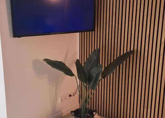 Heuvellodge Robin Alpha 76 * Simpelveld